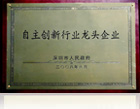 自主創(chuàng)新行業(yè)龍頭企業(yè)