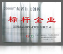 2008廣東省自主創(chuàng)新標(biāo)桿企業(yè)