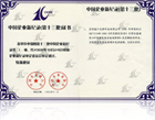 中國企業(yè)新記錄證書