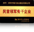 民營領(lǐng)軍骨干企業(yè)